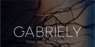 Gabriely Thin Font