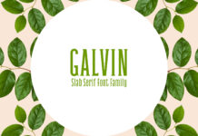 Galvin Family Pack