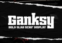 Ganksy Fonts