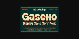 Gaseno - Font Poster 1