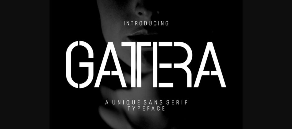 Gattera Font Poster 3