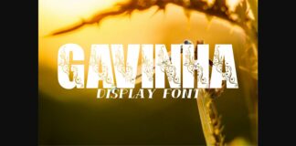 Gavinha Font Poster 1