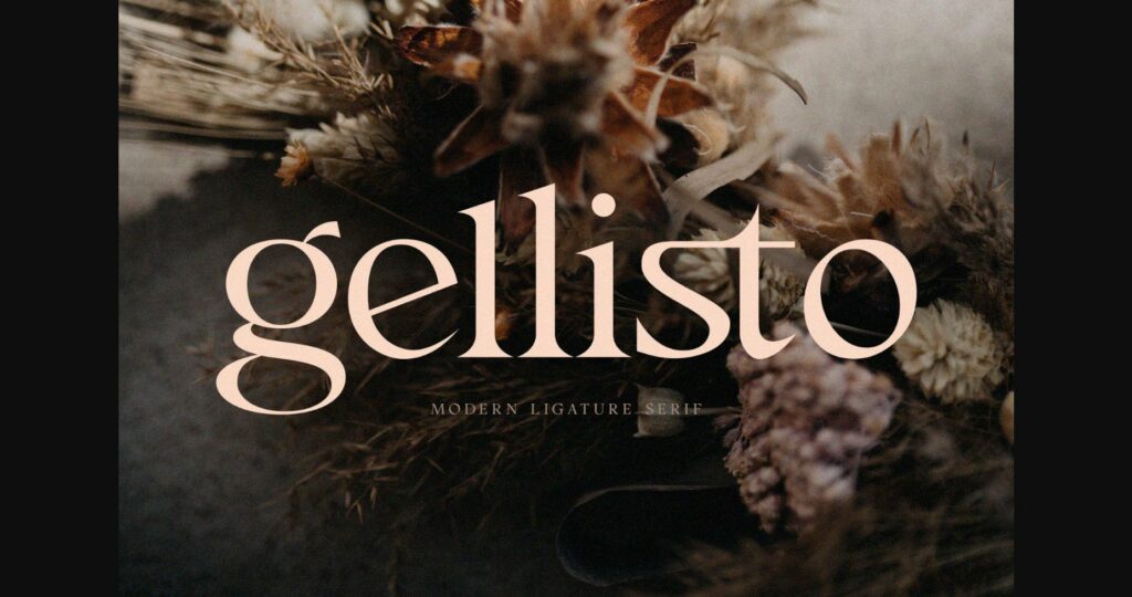 Gellisto Font Poster 1