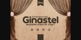 Ginastel Font Poster 1