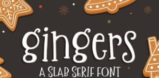 Ginger Fonts