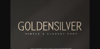 Golden Silver Font Poster 1