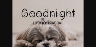 Goodnight Font Poster 1