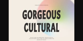 Gorgeous Cultural Font Poster 1