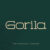 Gorila