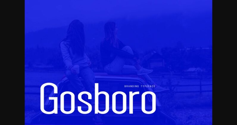 Gosboro Font Poster 1