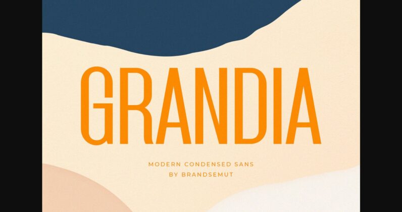 Grandia Font Poster 3