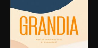 Grandia Font Poster 1