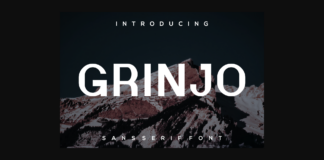 Grinjo Font Poster 1