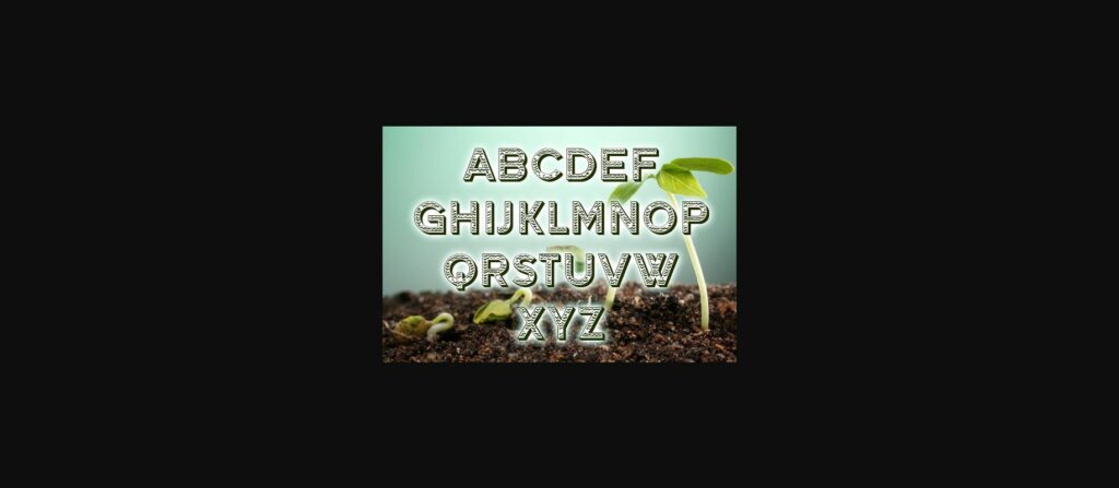 Grower Font Poster 4