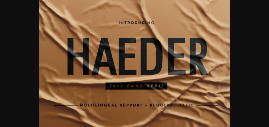 Haeder Font Poster 3