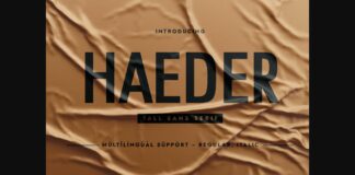 Haeder Font Poster 1