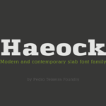 Haeock Family Fonts