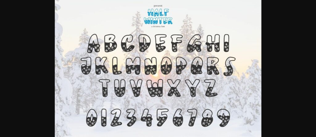 Half Winter Font Poster 7