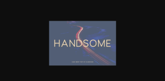 Handsome Font Poster 1