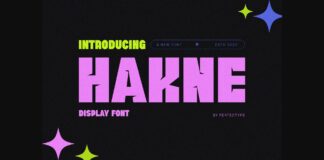 Hanke Font Poster 1