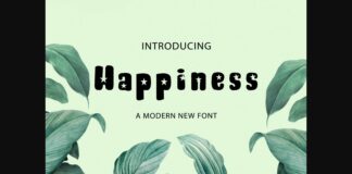 Happiness Font Poster 1