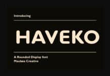 Haveko Font Poster 1