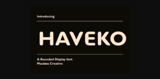 Haveko Font Poster 1