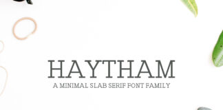 Haytham