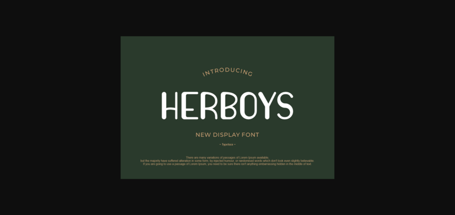 Herboys Font Poster 3