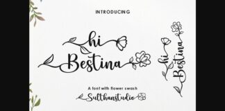 Hi Bestina Font Poster 1