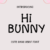 Hi Bunny Font