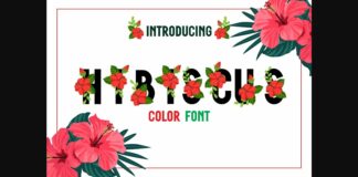 Hibiscus Font Poster 1