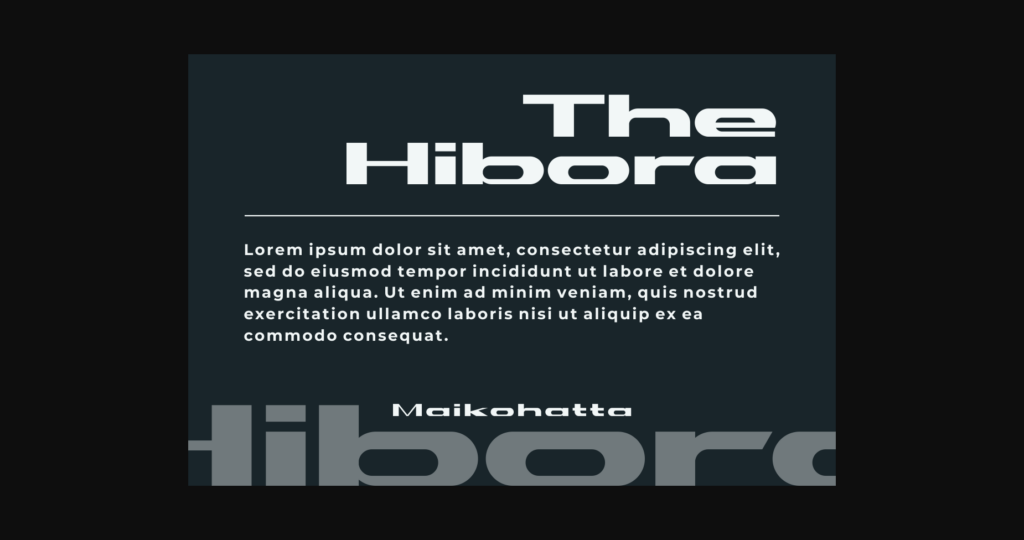 Hibora Font Poster 5