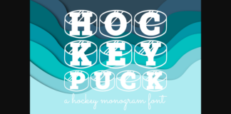 Hockey Puck Font Poster 1