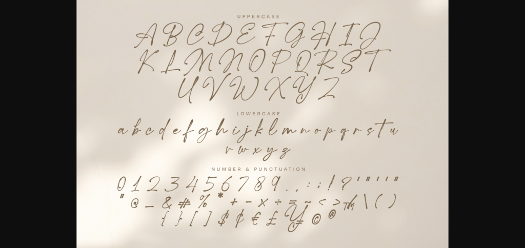 Holadea Script Font Poster 9