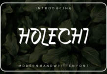 Holechi Fonts