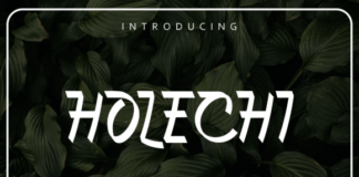 Holechi Fonts