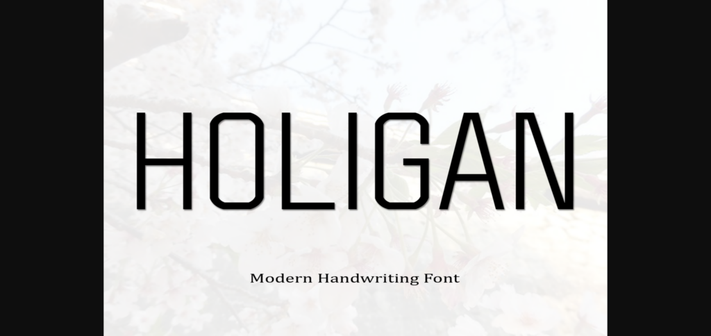 Holigan Font Poster 3