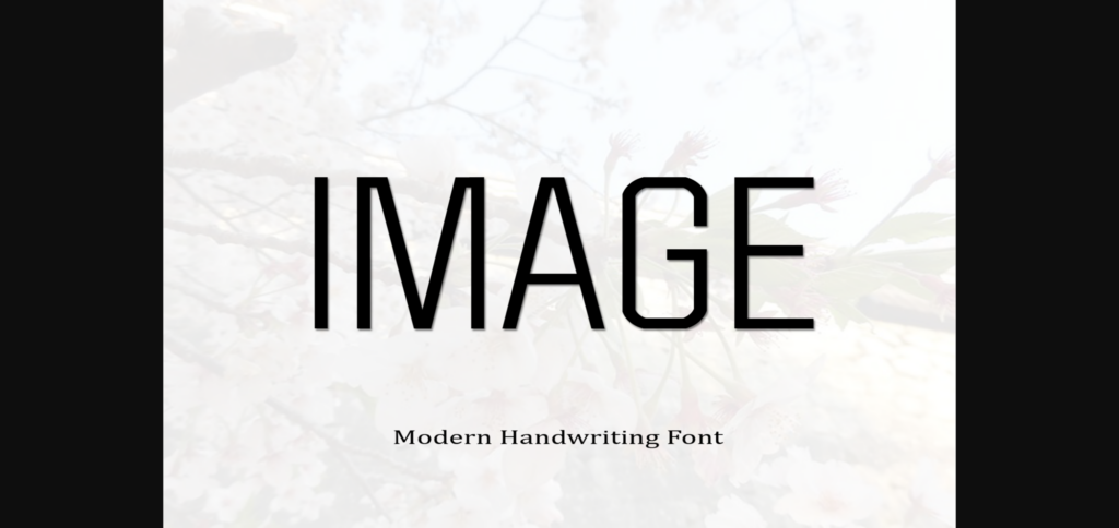 Holigan Font Poster 4