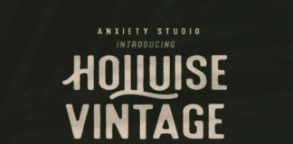 Holluise Vintage Fonts