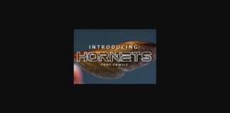 Hornets Font Poster 1