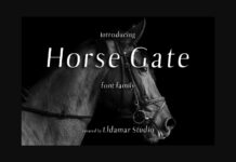 Horse Gate Font Poster 1