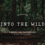 Into the Wild Fonts