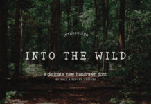 Into the Wild Fonts