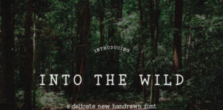 Into the Wild Fonts