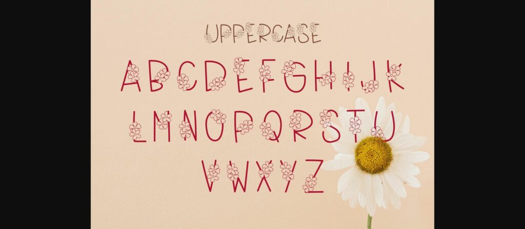 Jessamie Font Poster 5