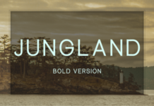 Jungland Bold Font