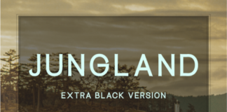 Jungland Extra Black Font