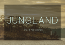 Jungland Light Font