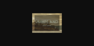 Jungland Outline Bold Font Poster 1